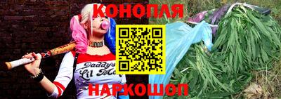 прущие грибы Конаково