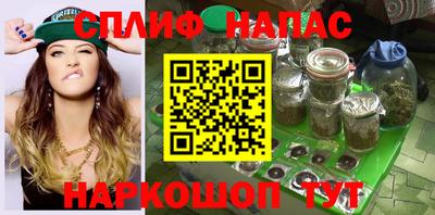 прущие грибы Конаково